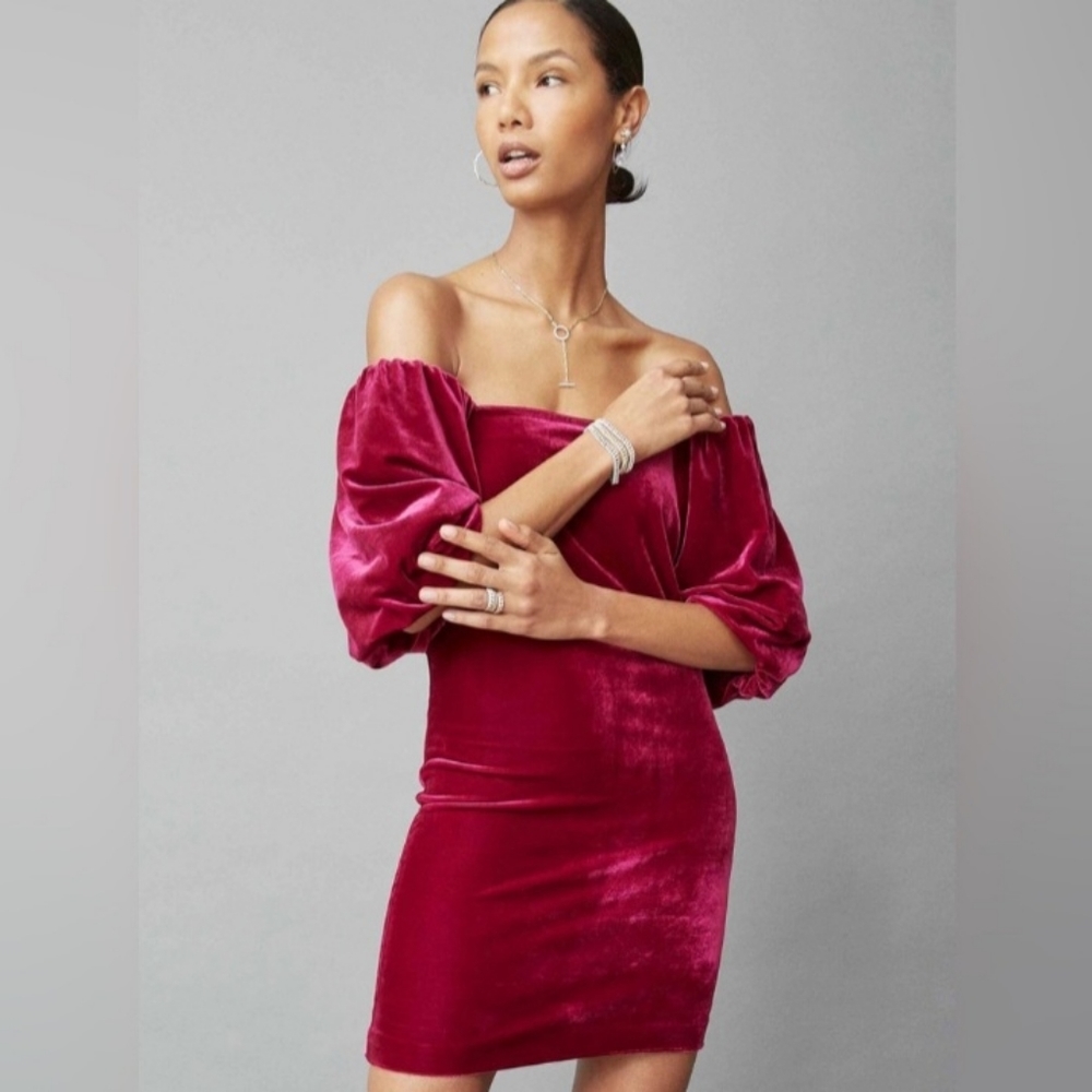 𝅺NWT Rebecca Minkoff Velvet Puff sleeves midi Dress Size 10
